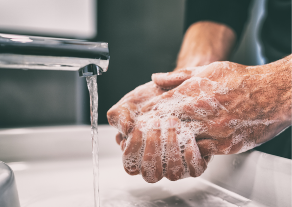 ArNo - QM-Pflichtschulungen